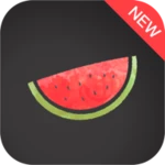 Logo of Melon VPN android Application 